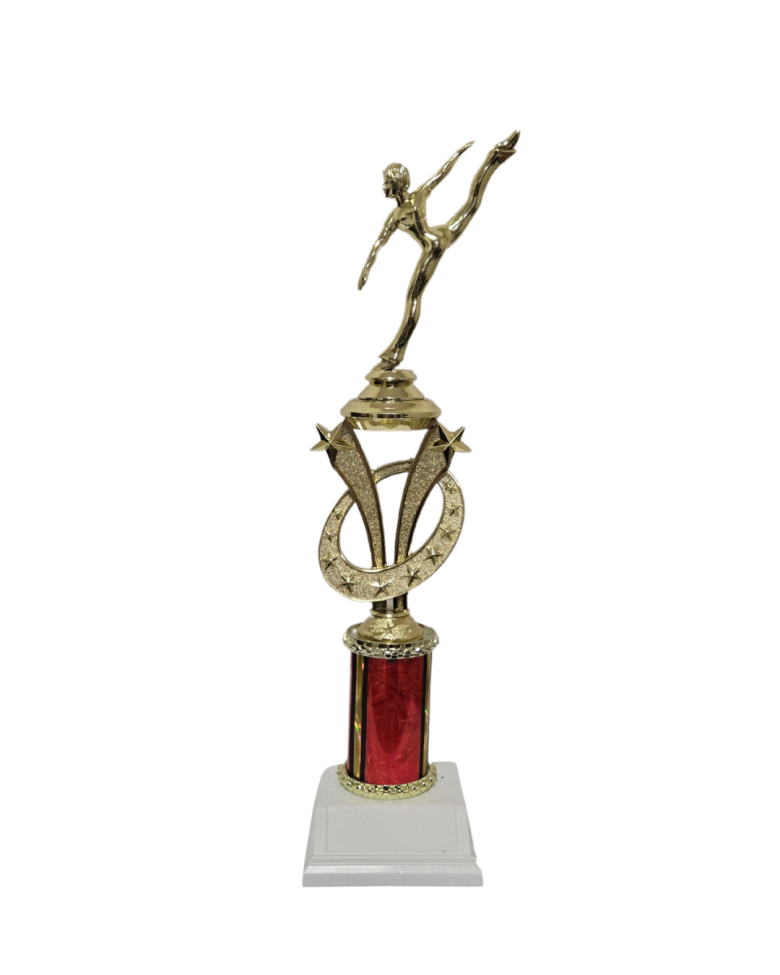 Individual dance award