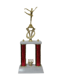 Competition award champion for dance