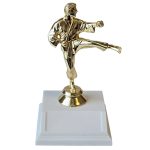 10" Base, Column and Topper (Engraving Included) - Martial Arts